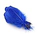 Sowder Natural Goose Feathers Clothing Accessories Pack of 100(Royal Blue)