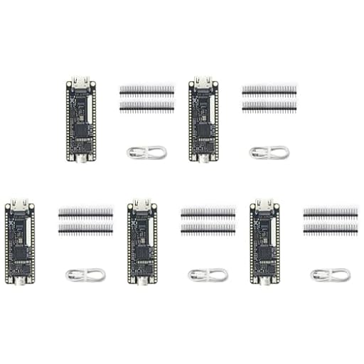 ISTOVO 5X Nano 9K FPGA Placa de Desarrollo GW1NR-9 RISC-V Kit | Ya disponible en tu tienda friki favorita! En mundofriki.es! ISTOVO 5X Nano 9K FPGA Placa de Desarrollo GW1NR-9 RISC-V Kit | Ya disponible en tu tienda friki favorita! En mundofriki.es!