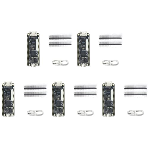 ISTOVO 5X Nano 9K FPGA Placa de Desarrollo GW1NR-9 RISC-V Kit
