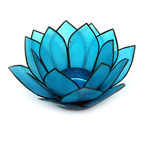 Contrast Living 29557 Contrast Turquoise Blue Capiz Shell Lotus Flower Small Tealight Candle Holder cover