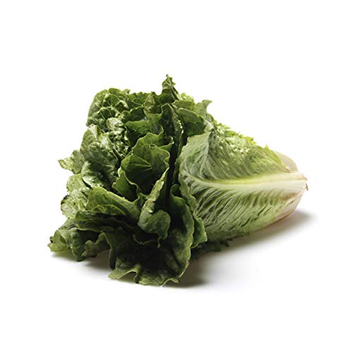Romaine Lettuce, 1 Head