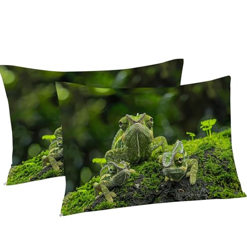 Housse de couette 220x240 lézard fermeture éclair microfibre - 5