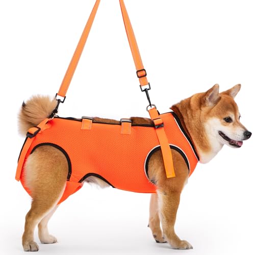 ACDOK Dog Lift Harness Full Body Support & Recovery Sling Pet Lift Vest Mesh Adjustable Straps with Handle for Old, Joint Injuries, Arthritis,Disabled Dogs Walk (Orange, X-Small)