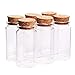 Danmu 100ml Small Glass Bottles, Mini Bottles, Jars with Wood Cork Stoppers, Wish Bottles, Message Bottles for Wedding Favors, Baby Shower Favors, DIY Craft 6 Pack