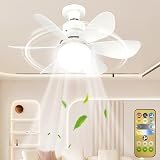 Ceiling Fan Light with Remote Control, E27 30W Dimmable Ceiling Fans Light