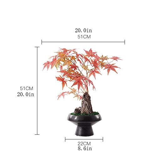 Plante décorative sans entretien pour verdir un bureau sombre