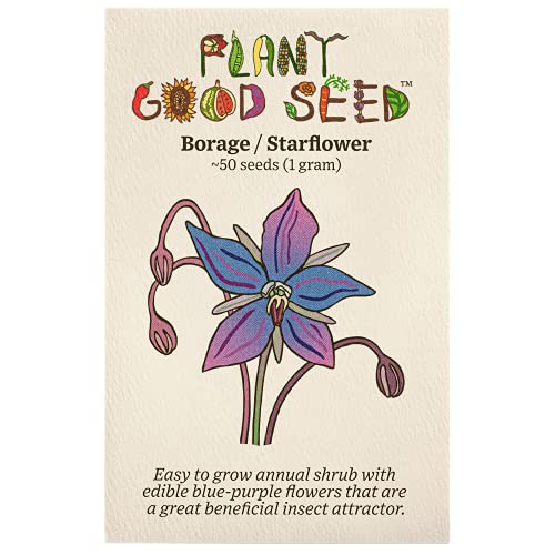 Plant Good Seed Organic Borage Starflower Seeds for Planting: Perennial Oilseed Plant, Blue Flowers - 50 Seed Packet