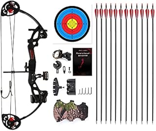 PANDARUS Compound Bow Archery for Youth and Beginner, Right Handed,19”-28” Draw Length,15-29 Lbs Draw Weight, 260 fps (Black Right Handed)