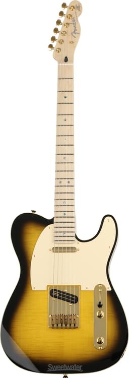 Amazon.com: Fender Artist Series 255202532 Richie Kotzen