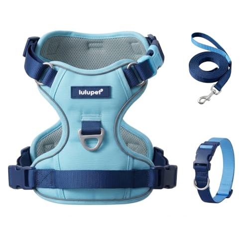 Lulupet No-Pull Harness & Leash Set (Blue, Medium–Large)