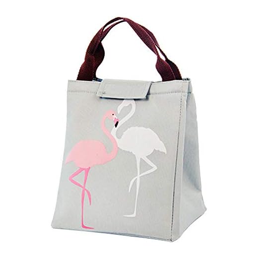 Oyfel Bolsa térmica Porta Alimentos Fiambrera Bolsa de asa de Alimentos Bolso Accesorio Bolsa Almuerzo Aislamiento Impermeable Adulto Mujer Niños 23.5 * 20 * 17cm Gris