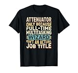 Attenuator Gifts by Detuli