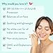 WishCare 5% Niacinamide Oil Balance Fluid Sunscreen SPF 50 PA++++ - Lightweight Matte Sunscreen SPF 50 for Oily Skin & No White Cast 50g