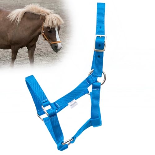 Jeffers Equine Mini Horse Halter – 3/4" Nylon Adjustable Halter for Miniature Horses, Ponies, Under 300 lbs – Heavy Duty Hardware, Secure Fit for Training, Turnout, Grooming, Travel – Turquoise