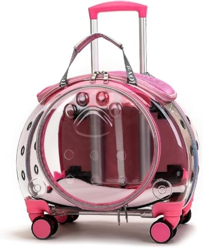 Klivex ԗ֕tybgLA L/pv~A[OybgLA LpgxLA̎360°zC[t LLAobNpbN ԗ֕tNALLA  pybg{bNX NbVt (sN)