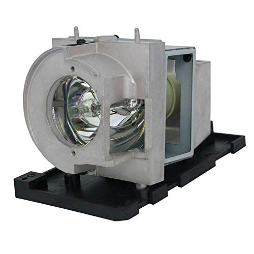 Ampoule de projecteur Optoma X319UST W319UST lampe BL-FU190G origine