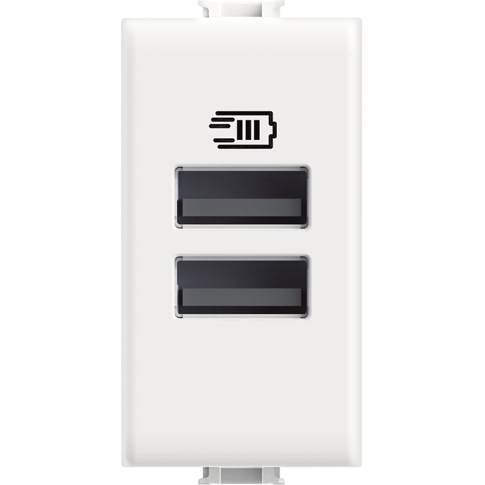 Cargador USB Tipo C doble Bticino AM4191CC Matix de 1 plaza blanco 2