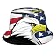 Bald Eagle and American Flag 4