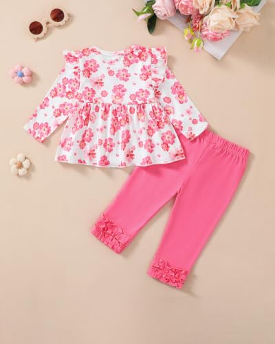 Image of Baby Girl Clothes Infant Toddler Clothes Fall Winter Outfit Clothing Set | Baby Girl Tops Pants Set, Long Sleeve Infant Clothes, Baby Girl Stuff, Toddler Stuff, Girls Clothing Set, Gift