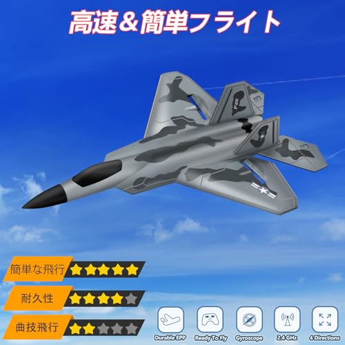 HAWK'S WORK ラジコン飛行機 F-22 サムネイル2