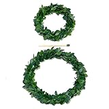 Mini - Buchs - Kränze, grün / 6 Stück TOP Preis !!! (6cm/ 6 Stück)