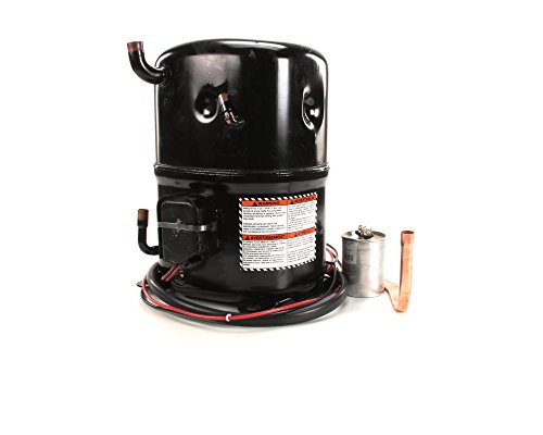 Manitowoc Ice 7626893 - Conjunto de compresor, 60 Hz, 1 fase