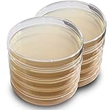 LB Agar Plates - Evviva Sciences - Prepoured Luria-Bertani Agar (LB) Petri Dishes - General Purpose Media - Top Science Kit for Science Fair Projects!