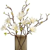 Grsrkep 3 Stück künstliche Magnolien-Blumen, 71 cm, realistische Magnolien-Blumen mit langem Stiel für Heimdekoration, Tafelaufsätze und Hochzeitsarrangements, weiß