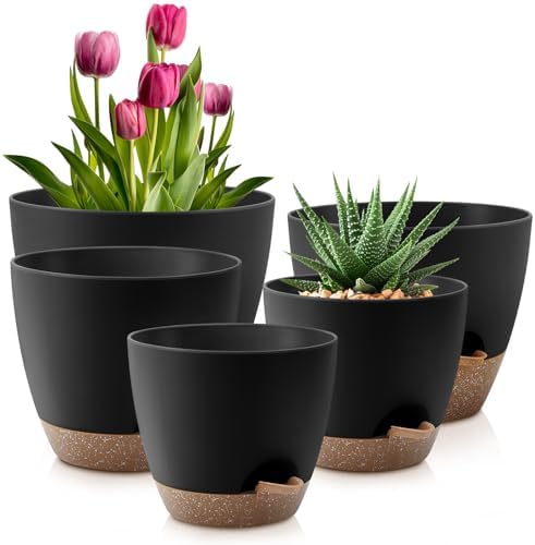 Self-Watering Pots