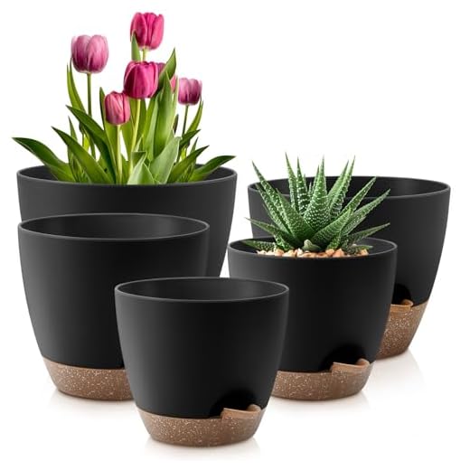 23+ Stunning Indoor Landscape Design Ideas for Every Space 2 Plant Pots 10/9/8/7.5/7 Inch Self Watering Pots, Set of 5 Plastic Planters with Drainage Holes and Saucers,Plastic Flower Pots,Nursery Planting Pot for Indoor Out Door Plants(Black Brown)
