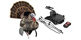 Avian-X HDR Strutter Turkey Decoy with X-Factor Motion System – Realistic Blow-Molded Dominant Gobbler, Interchangeable Heads, Adjustable Tail Fan, Removable Wings, Carry Bag & Stake