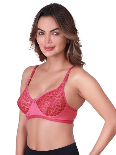 Image of SKDREAMS Naina Net Seamed Non Padded Full Coverage Non-Wired Women Full Coverage Bra