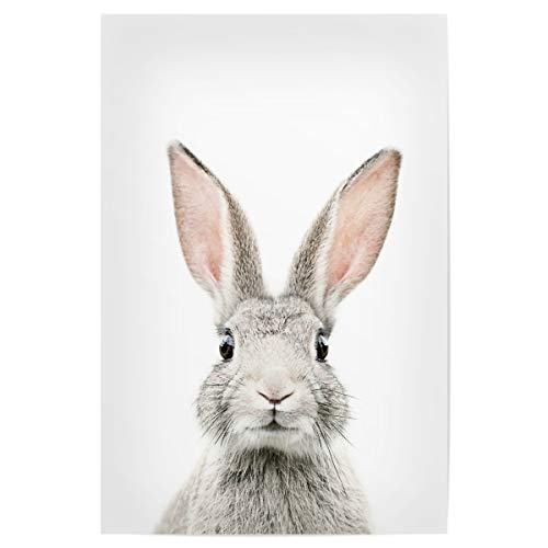 artboxONE Poster 45x30 cm Tiere Baby Bunny hochwertiger Design Kunstdruck - Bild Bunny Rabbit