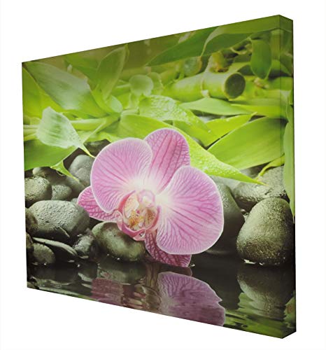 Fleur Entre Les Pierres cadre lumineux pour illuminer un mur sombre
