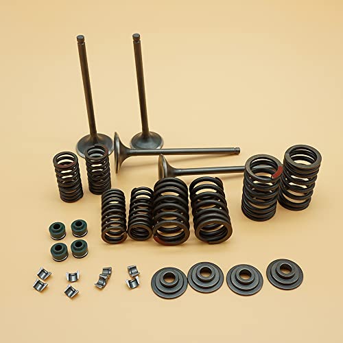 Sopout for XR400 XR 400R soupapes d'échappement d'admission de tête Joints Ressorts Ressorts intérieurs extérieurs sièges de Ressort de soupape clavettes de soupape Remplacement de pièces – vue 2