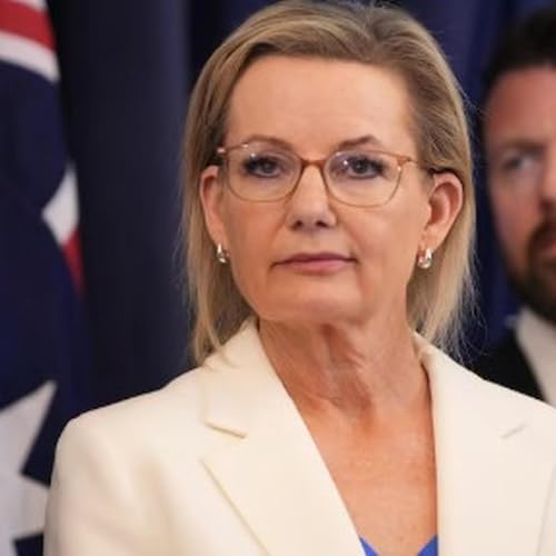 Albury heading to by-election following Sussan Ley resignation