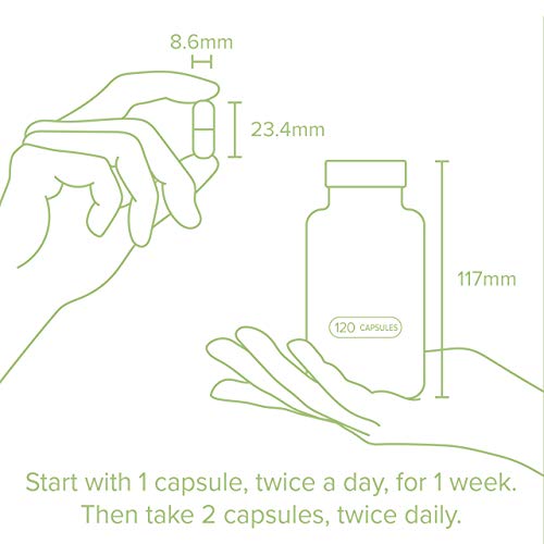 ActiFlex Gut Health | Probiotische & Prebiotische Bioculturen | 2 miljard CFU | 18 Actieve Enzymen, Kruiden & Botanicals… - Image 8