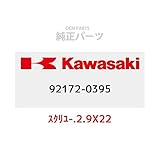KAWASAKI 92172-0395 Genuine Parts (OEM) Scriilli-.2.9X22