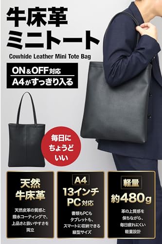 REGiSTA ミニトートバッグ メンズ レザー ブラック