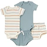Modern Moments by Gerber Baby Boys' Short Sleeve Bodysuit and Shorts Set, Ivory 2 Color Stripe/Medium Teal, 6-9 Months