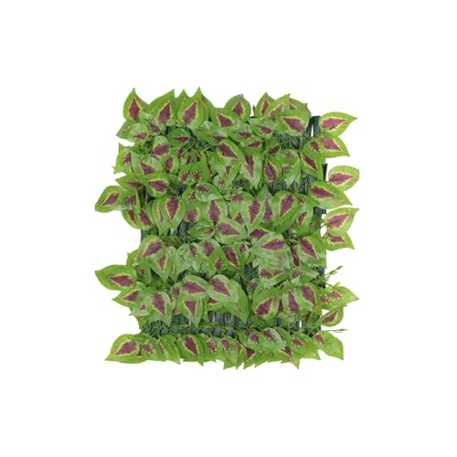 Schermo di Privacy Espandibile per Recinzione - Decorazione Per Sfondi Espandibile E Flessibile - Rotolo Schermante Di Siepe Artificiale | Per Famiglia Studenti Adulti Uomini Donne Soggiorno Balcone P