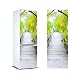 OEDIM Stickers Autocollants Frigo Passerelle Végétation Verte Mesure 185 x 60 cm| Vinyle Adhésif Résistant et Facile d'appliquer |Étiquette Adhésive Décorative d'une Conception élégante|