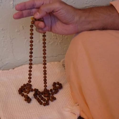 Japamala Rudraksha 108 Contas 10mm Hoponopono