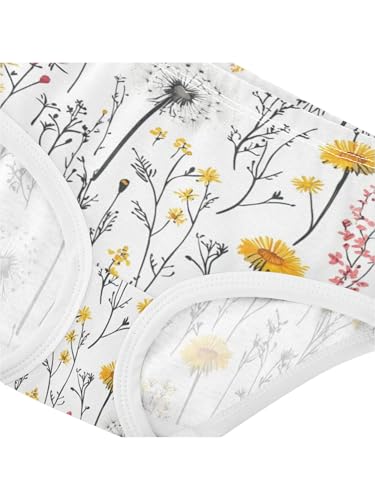 ZZKKO Country Wildflowers Girls Underwear Toddler Panties for Girls Comfort Brief Size 2T4