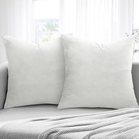 Aspire Homeware Velvet Cushion Covers Set of 2 Cover