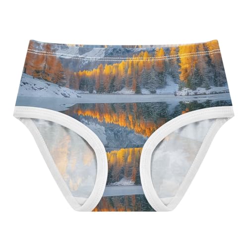 Girls Underwear Toddlers 2t Cotton Panties for Girl Fun Print Briefs Underpants Autumn Landscape Scenery Mountain - Main Image