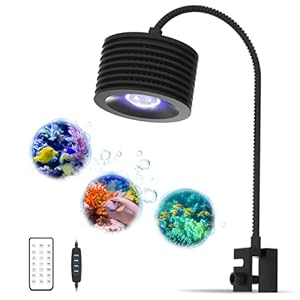 Lominie LED Aquarium Light, Nano Coral Reef Light Clip on Aquarium Light Full Spectrum Remote Control Fish Tank Lamp Dimmable for Saltwater Fish Tank (Saltwater)