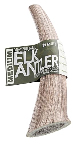 K-9 Antler Co. Medium Whole Elk Antlers