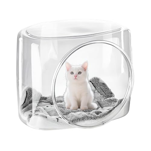 [GIIPET]ybgxbh L JvZ^ NA  킢  ^ Lxbh ybg nEX  Aj} ʋC K ETM  qp