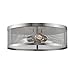 Z-Lite Meshsmith 331F Flush Mount Light